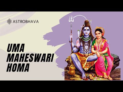 Priests performing the Uma Maheshwari Homa at AstroBhava's Yagna Ashram