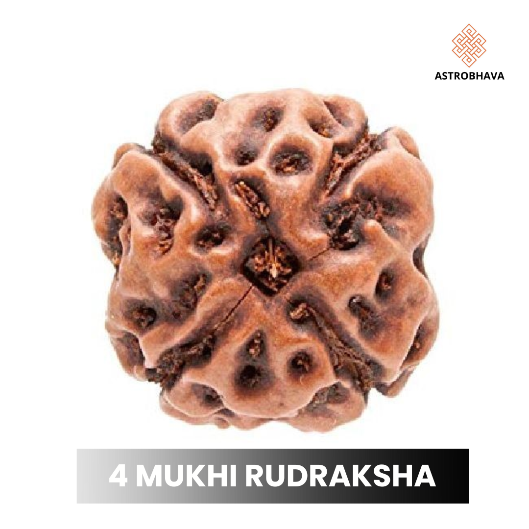 4 Mukhi Rudraksha