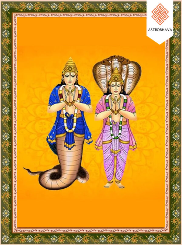 Rahu-Ketu Shanti Homa