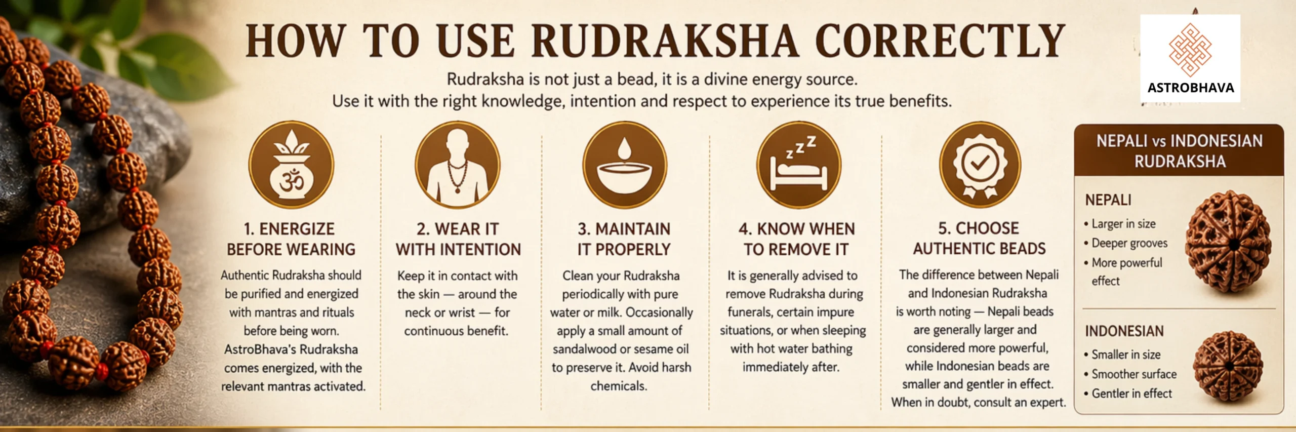 Rudraksha and Yantra