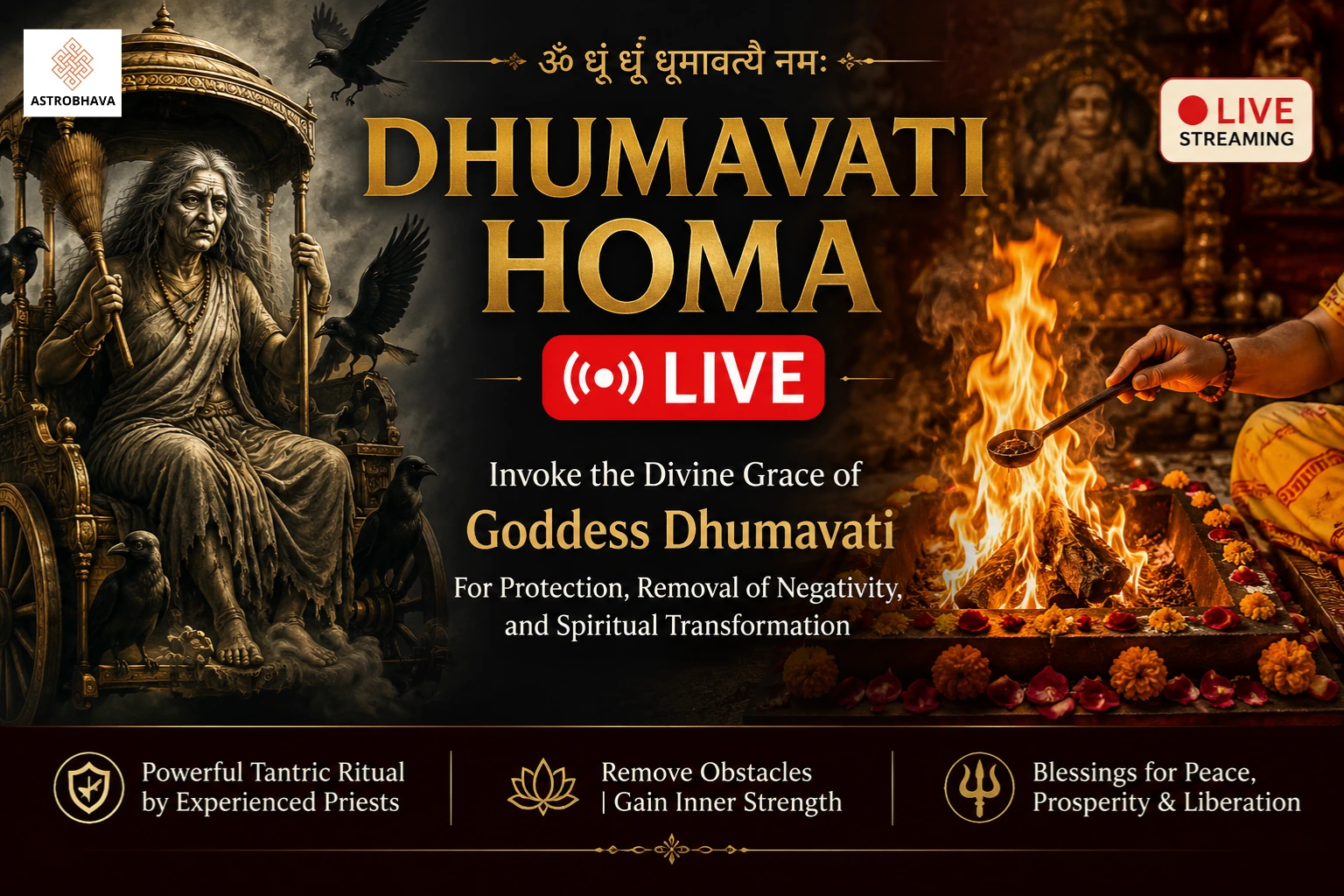 Dhumavati Jayanti 2026